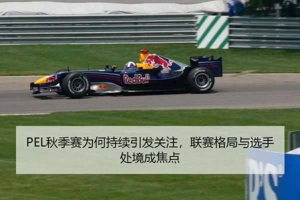 PEL秋季赛为何持续引发关注，联赛格局与选手处境成焦点